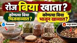 चिया, जवस, तीळ… बिया खाताय? जाणून घ्या खाण्याची योग्य पद्धत