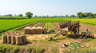 Ahilyanagar farmer debt waiver 3rd list | Punyashlok Ahilyadevi Holkar Karjmukti Yojana | Ahilyanagar Shetkari Karj Mafi list | Mangesh Survase Sahakar Vibhag Ahilyanagar