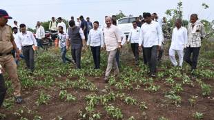 solapur-drought-situation