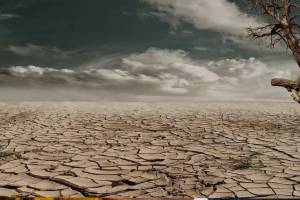 El Nino Drought Maharashtra
