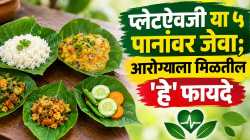 नैसर्गिक पानांवर जेवणाची जुनी पद्धत; ‘या’ ५ पानांचे आरोग्यदायी फायदे
