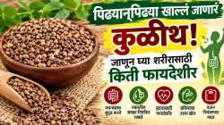 डाळींमध्ये कुळीथ का ठरतंय खास? जाणून घ्या शरीरासाठी किती फायदेशीर