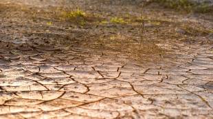 Maharashtra Drought