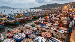 uran karanja fishing dock | wholesale fish market price drop | maharashtra seafood market supply | karanja dronagiri fishing port news
