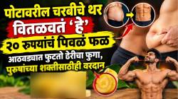 पोटावरील चरबीचे थर वितळवतं ‘हे’ २० रूपयांचं पिवळं फळ; आठवड्याभरात फुटतो ढेरीचा फुगा, पुरूषांच्या शक्तीसाठीही वरदान