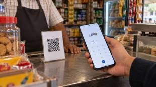 NPCI UPI MDR charges postponed news chart | UPI merchant discount rate Diwali update Marathi news | एनपीसीआय युपीआय एमडीआर शुल्क पुढे ढकलले | युपीआय मर्चंट डिस्काउंट रेट दिवाळी अपडेट