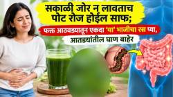 सकाळी जोर न लावताच पोट रोज होईल साफ; फक्त आठवड्यातून एकदा ‘या’ भाजीचा रस प्या, आतड्यांतील सगळी घाण पडेल बाहेर