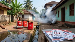 Panvel dengue cases rise | PMC door-to-door fever survey | Malaria prevention Panvel | Mosquito control awareness Maharashtra | Panvel civic body health initiatives
