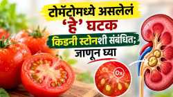 किडनी स्टोनचा त्रास आहे? टोमॅटो खाताना ‘या’ गोष्टी लक्षात ठेवा