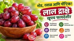 हिरवी नव्हे, लाल द्राक्षेही आहेत खास! जाणून घ्या आरोग्यासाठी का महत्त्वाची…