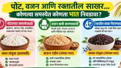 तांदळाचा प्रकार बदलला, तर आरोग्यालाही फायदा? कोणता भात कधी खावा?