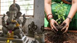 विसर्जित गणेशमूर्तीच्या मातीत रोप लागवड; महापौरांनी दिली गणेशोत्सवाला वृक्षसंवर्धनाची जोड