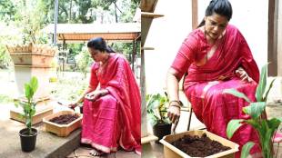 Mumbai Mayor Ritu Tawde Plantation Drive | Ek Ganpati Ek Jhad BMC Green Initiative | Shadu Clay Visarjan Soil Tree Plantation Mumbai | BMC Environment Friendly Ganeshotsav Campaign