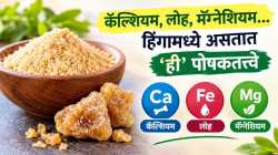 चिमूटभर हिंग, अनेक पोषकतत्त्वे! जाणून घ्या हिंगातील पोषणमूल्य