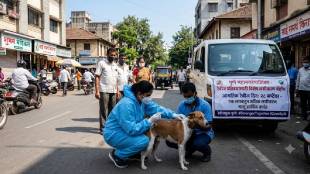 Pune PMC Stray Dog Rabies Vaccination Campaign | Seema Chordia Reporter Loksatta Pune News | World Rabies Day PMC Stray Dog Feeding Points | Pune Municipal Corporation Health Veterinary Department