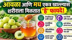 आवळा-मधाचं मिश्रण का ठरतंय लोकप्रिय? जाणून घ्या आरोग्यदायी फायदे