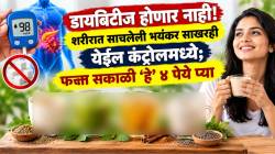 डायबिटीज होणार नाही! शरीरात साचलेली भयंकर साखरही येईल कंट्रोलमध्ये; फक्त सकाळी ‘हे’ ४ पेये प्या