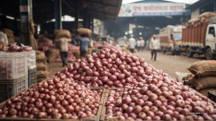 Maharashtra onion prices | Egypt onion import APMC market | Raju Shetti protest onion | Marathi news onion politics