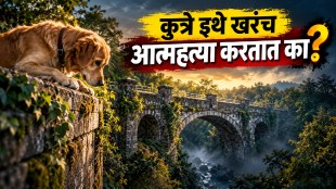 Overtoun Bridge mystery