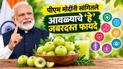 पीएम मोदींनी सांगितले आवळ्याचे ‘हे’ जबरदस्त फायदे; रोज १ आवळा खाल्ल्यास शरीरात दिसतील ‘हे’ ८ बदल