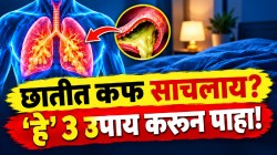 छातीत साठलेला कफ, जुनाट खोकला ३ दिवसांत बाहेर पडेल! करा ‘हे’ ३ सोपे घरगुती उपाय; चोंदलेलं नाक उघडेल अन् जड झालेली छाती होईल मोकळी!