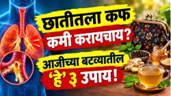 छातीत घट्ट कफ साचून श्वास कोंडतोय? ‘हे’ ३ आजीच्या बटव्यातील सोपे उपाय करा; मिनिटांत मोकळी होईल छाती अन् चोंदलेलं नाक!