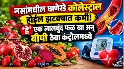 कधीच वाढणार नाही रक्तदाब! ‘हे’ एकच लालबुंद फळ खा; नसांमधील घाणेरडे कोलेस्ट्रॉल होईल झटक्यात कमी; येणार नाही हार्ट अटॅक!