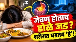 जेवल्यानंतर आळस आणि लगेच झोप का येते? कारण फक्त पोट भरल्याचं नाही; शरीरात घडतंय ‘हे’…