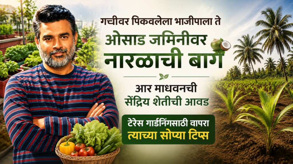 R Madhavan Organic Farming and Terrace Garden Tips R Madhavan Organic Farming and Terrace Garden Tips