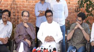 What Raj Thackeray Said?