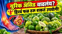 संध्याकाळपर्यंत नसांमध्ये साचलेलं युरिक अ‍ॅसिड बाहेर पडेल; सकाळी ‘हे’ हिरवं फळ खा; संधिवातापासून होईल कायमची सुटका