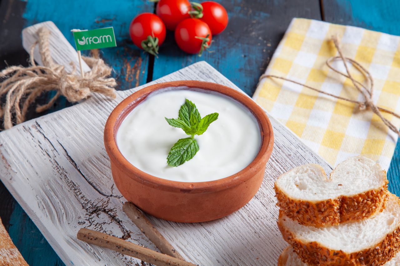 Right Timing Of Eating Curd