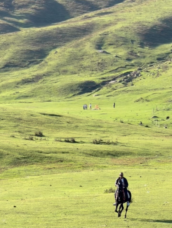 Shikhar Dhawan Sophie Dhawan Kashmir Vacation