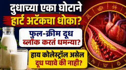 दुधाच्या एका घोटाने हार्ट अटॅकचा धोका? फुल-क्रीम दूध ब्लॉक करतं धमन्या? हाय कोलेस्ट्रॉल असेल दूध प्यावे की नाही? डॉक्टरांचा खुलासा