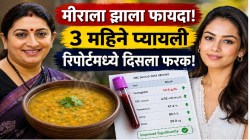 स्मृती इराणींच्या ‘या’ डाळीच्या सूपचा चमत्कार! रोज अर्धा कप ‘हे’ पेय अन् ३ महिन्यांतच गायब झाला मीरा कपूरचा ॲनिमिया; असा बदलला ब्लड रिपोर्ट