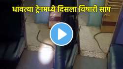 बापरे! धावत्या ट्रेनमध्ये विषारी साप, प्रवाशांचा थरकाप, पुढे काय घडलं? पाहा Shocking Video