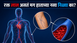 रक्तवाहिन्यांमध्ये एक थेंबही निळं रक्त नसतं, मग हाताच्या नसा निळ्या का दिसतात? डॉक्टरांनी सांगितलं त्यामागचं विज्ञान