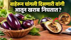 बाहेरून चांगली दिसतात, पण आतून किडलेली निघतात! मग खरेदी करताना ‘या’ गोष्टी नक्की तपासा