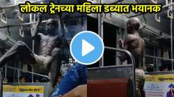 लोकल ट्रेनमध्ये विचित्र घटना; अर्धनग्न पुरुषाचे महिलांना पाहून अश्लिल चाळे, भयानक VIDEO
