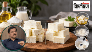 Real and analog paneer shown side by side, with vegetable oil, milk powder, starch, and simple home-testing methods illustrated