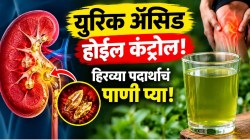 १० दिवसांत युरिक ॲसिड बाहेर पडेल लघवीवाटे! फक्त सकाळी उठल्या उठल्या ‘या’ हिरव्या पदार्थाचं पाणी प्या; दुखण्यापासून मिळेल कायमचा आराम