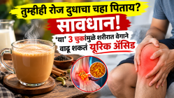 तुम्हीही रोज दुधाचा चहा पिताय? सावधान! ‘या’ ३ चुकांमुळे शरीरात वेगाने वाढू शकतं यूरिक ॲसिड
