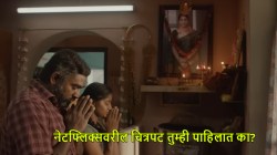 ‘या’ ब्लॉकबस्टर भारतीय चित्रपटाचा हॉलीवूड रिमेक येणार! २० कोटींचे बजेट, कमावलेले २०० कोटी, नेटफ्लिक्सवर आहे उपलब्ध