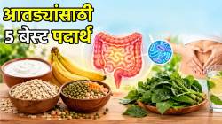 आतड्यांमध्ये बिघाड होऊ नये म्हणून ‘हे’ ५ पदार्थ खा! डॉक्टरांकडून जाणून घ्या शरीराला होणारे फायदे