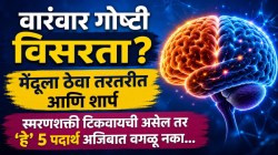 वारंवार गोष्टी विसरता? मग मेंदूच्या पोषणासाठी आहारात घ्या ‘हे’ ५ पदार्थ, तज्ज्ञांनी सांगितले फायदे…