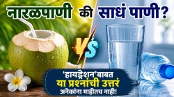 नारळपाणी की साधं पाणी, हायड्रेशनसाठी नक्की काय योग्य? जाणून घ्या, तज्ज्ञ का सांगतात? गैरसमज होतील दूर