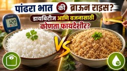पांढरा भात की ब्राउन राइस? तुमच्या ताटातला ‘हा’ बदल ठरू शकतो फायदेशीर, जाणून घ्या वजन आणि शुगरसाठी कोणता चांगला…