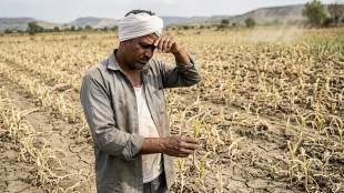 Deepika Chavan Baglan Drought | Baglan Farmer Relief Demand | Nashik Agriculture Drought News | Maharashtra Farmer Compensation Demand