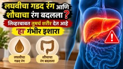 लघवीचा गडद रंग आणि शौचाचा रंग बदलला? लिव्हरबाबत तुमचं शरीर देत आहे ‘हा’ गंभीर इशारा