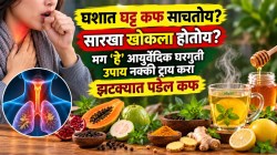 घशात घट्ट, चिकट कफ साचतोय? सारखा खोकला होतोय? मग ‘हे’ आयुर्वेदिक घरगुती उपाय नक्की ट्राय करा, झटक्यात पडेल कफ